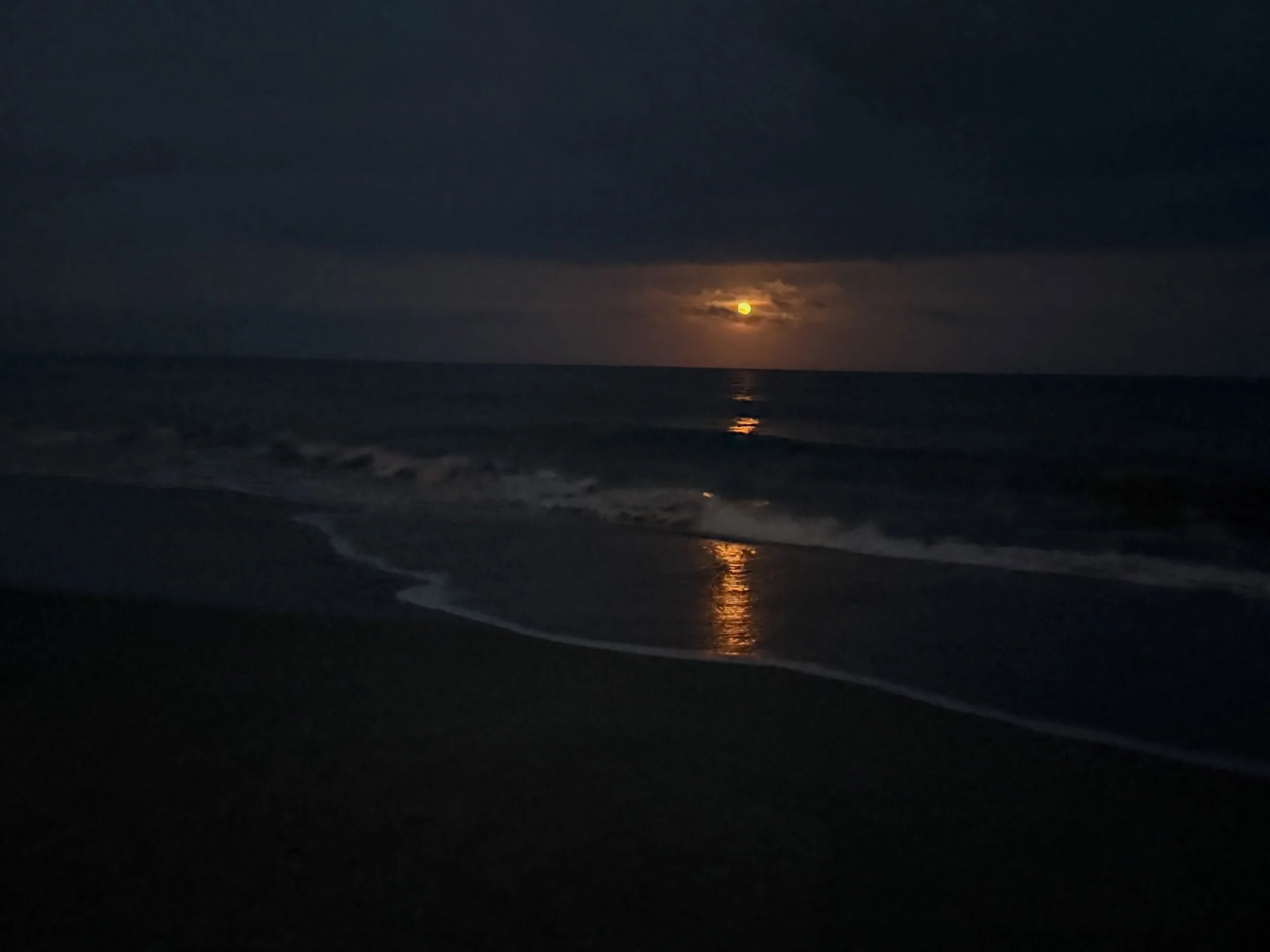 Last night on Pawley&rsquo;s Island, SC with extended family and friends. Been coming to this part of the low country since I was six years old. Every year is different, yet so very much the same. Grateful for traditions that bind generations and yea