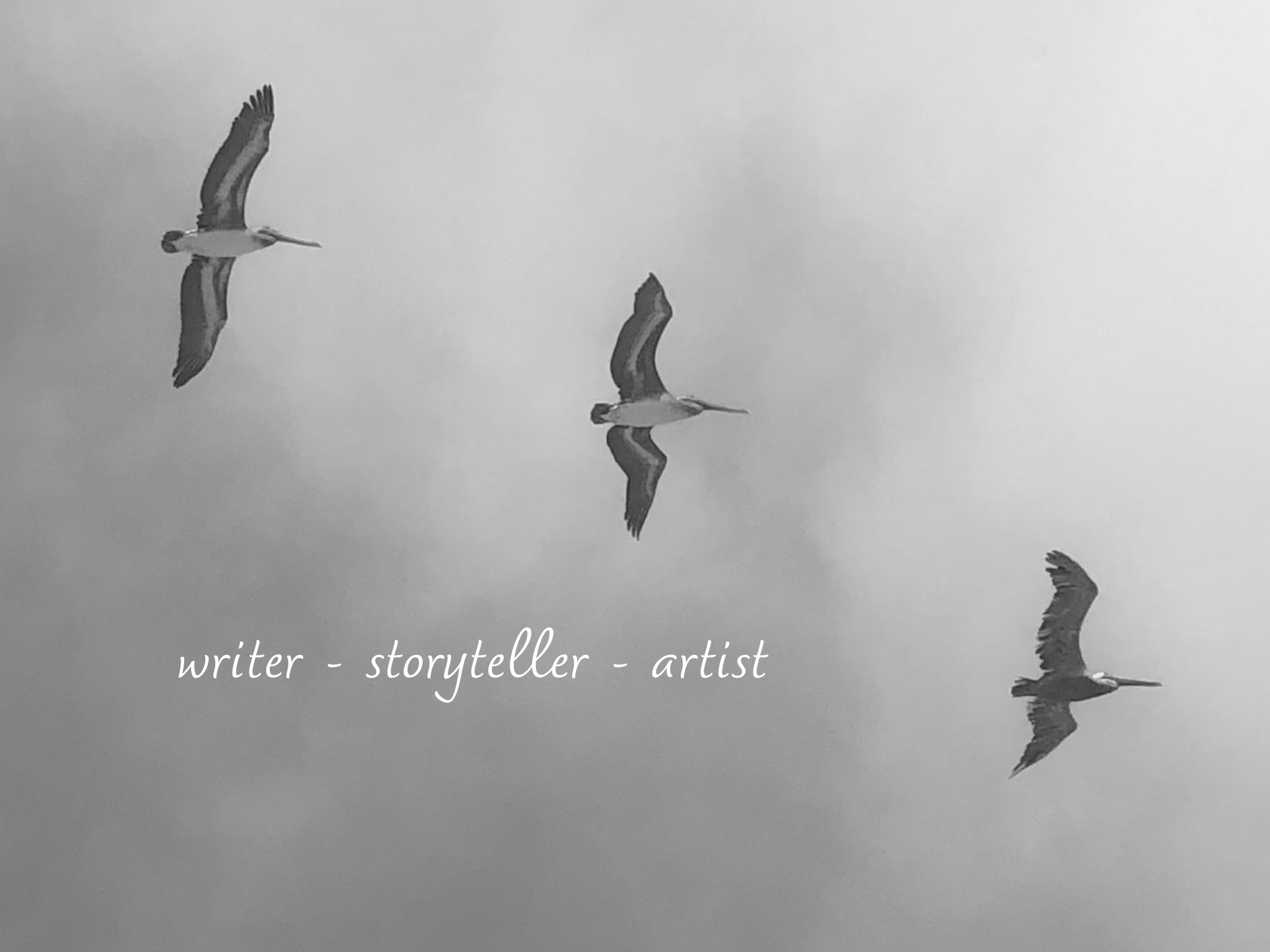 writer - storyteller - artist.png