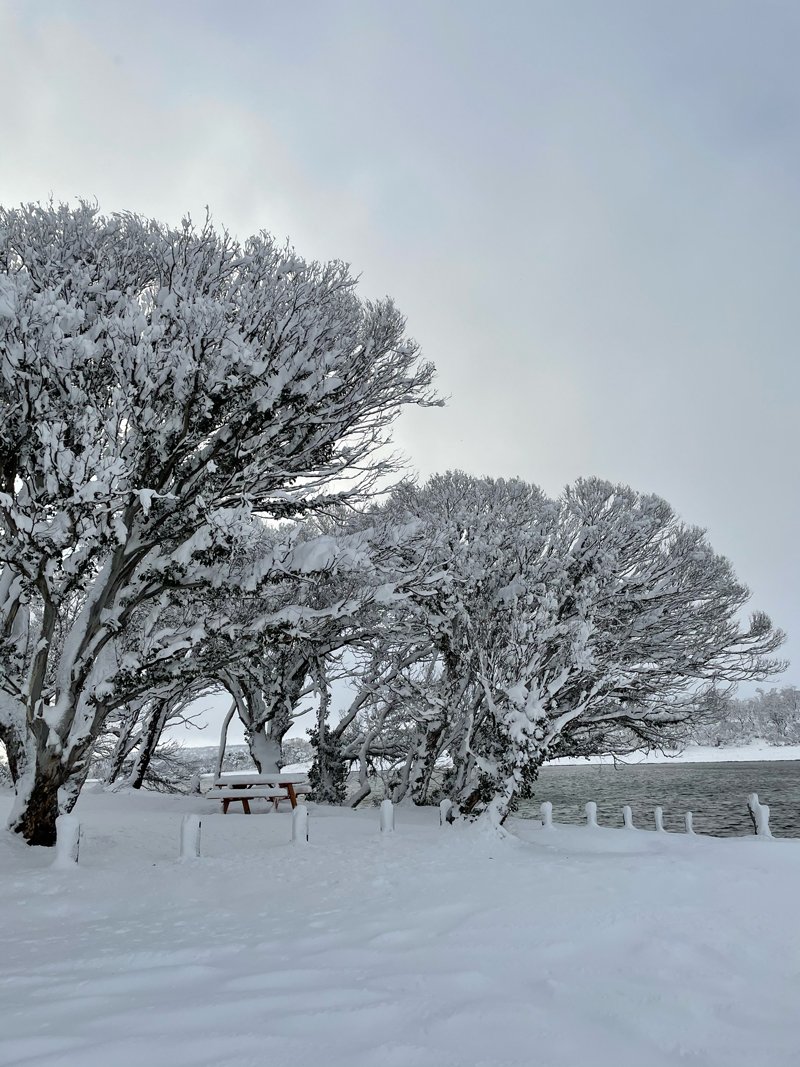 Three Mile Dam in Kosciuszko in Winter Snow