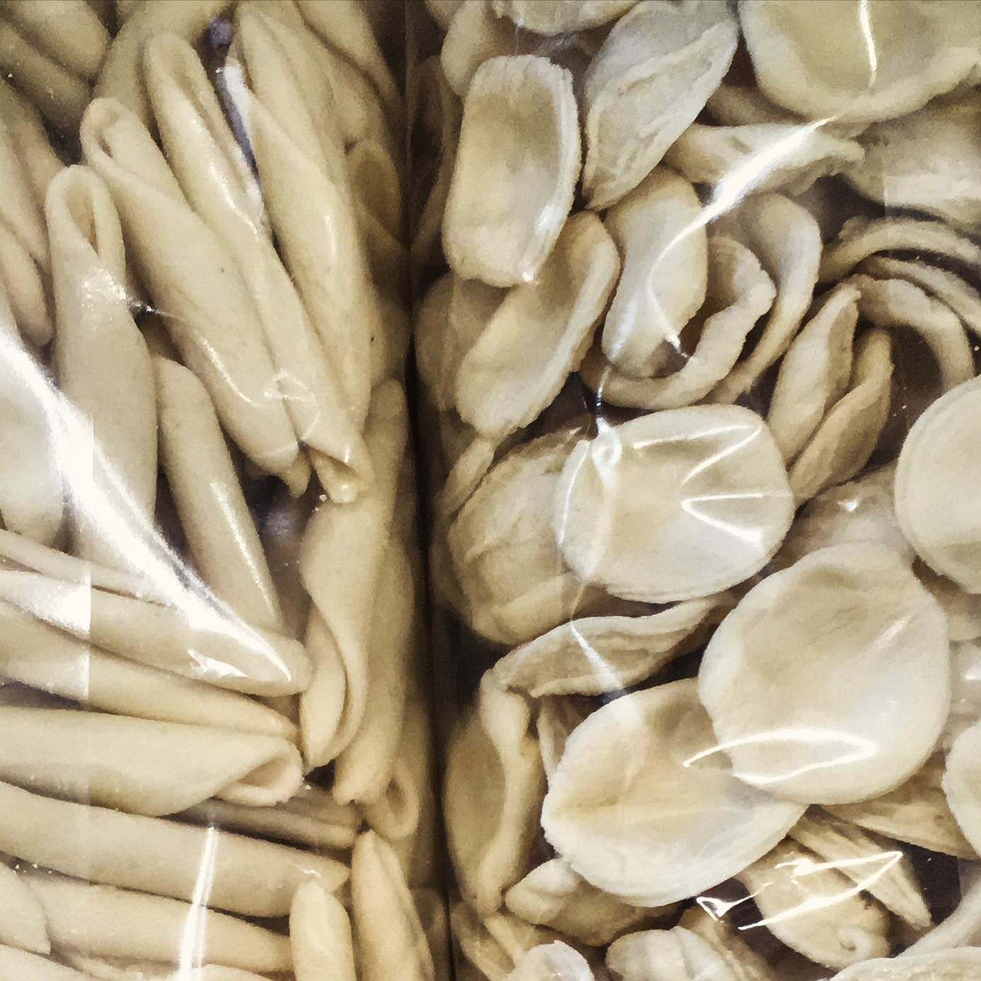 Pasta Artigianale. In vari formati, nostra produzione. Disponibile in Semola di Grano Duro, Senatore Cappelli e Grano Arso.