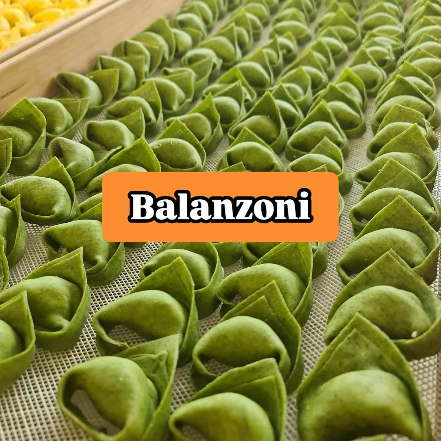 Pasta ripiena bolognese. Con ricotta spinaci e mortadella. Disponibili surgelati confezioni da 1/2kg &euro;12