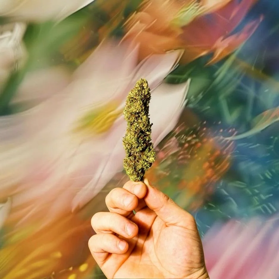 How Healthy is Your Relationship with Weed? Let’s Discuss…