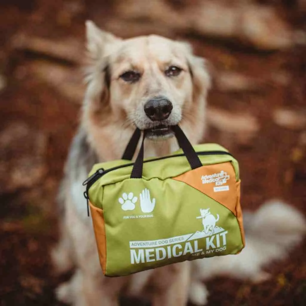 What’s in the Medicine bag/Toolkit for your Dog?