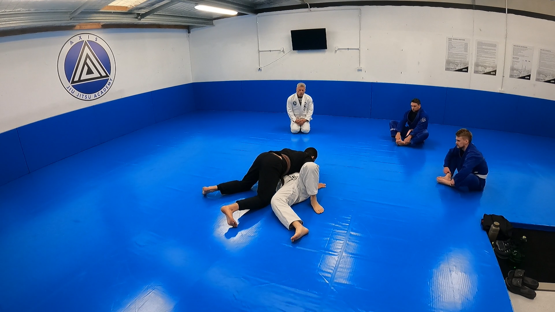 Home — Axis BJJ Rolleston