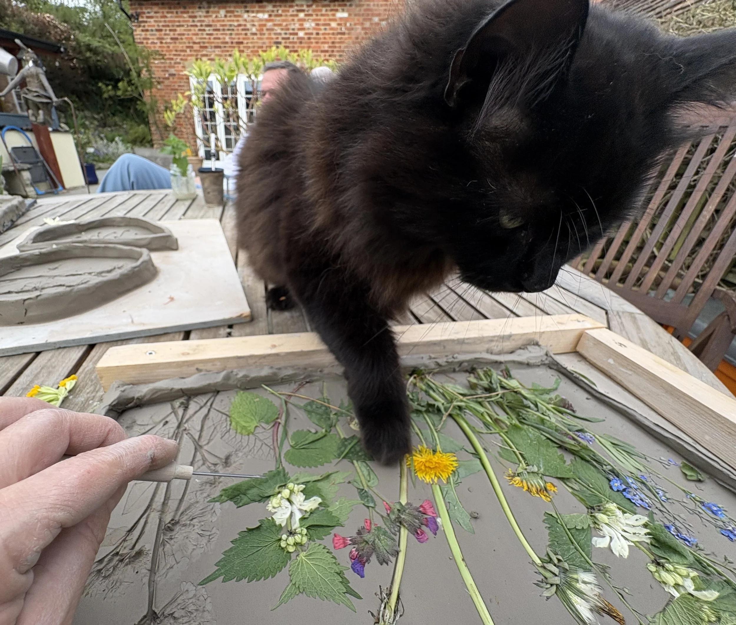 My cat "helping me' prepare for my next workshop 