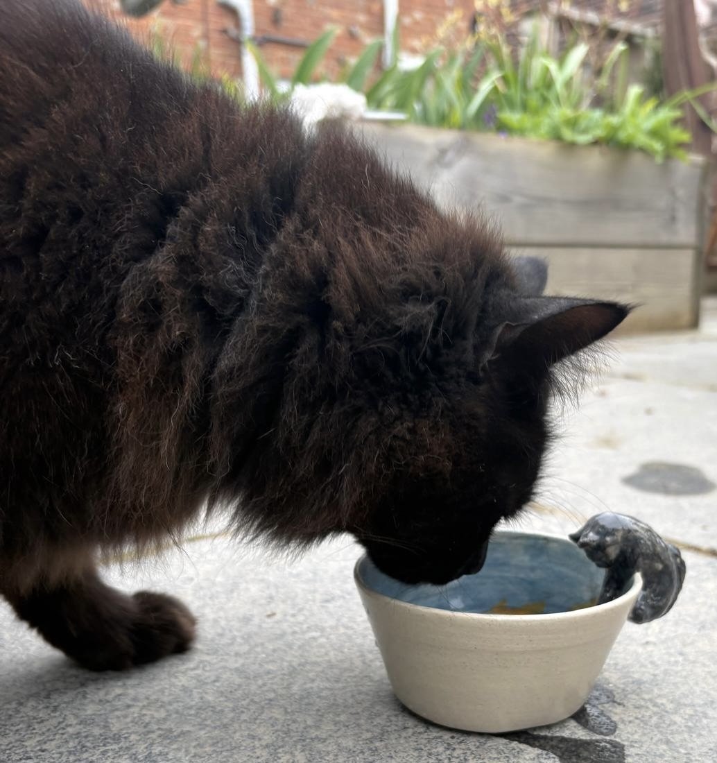 stoneware cat drinking bowl with fish £45