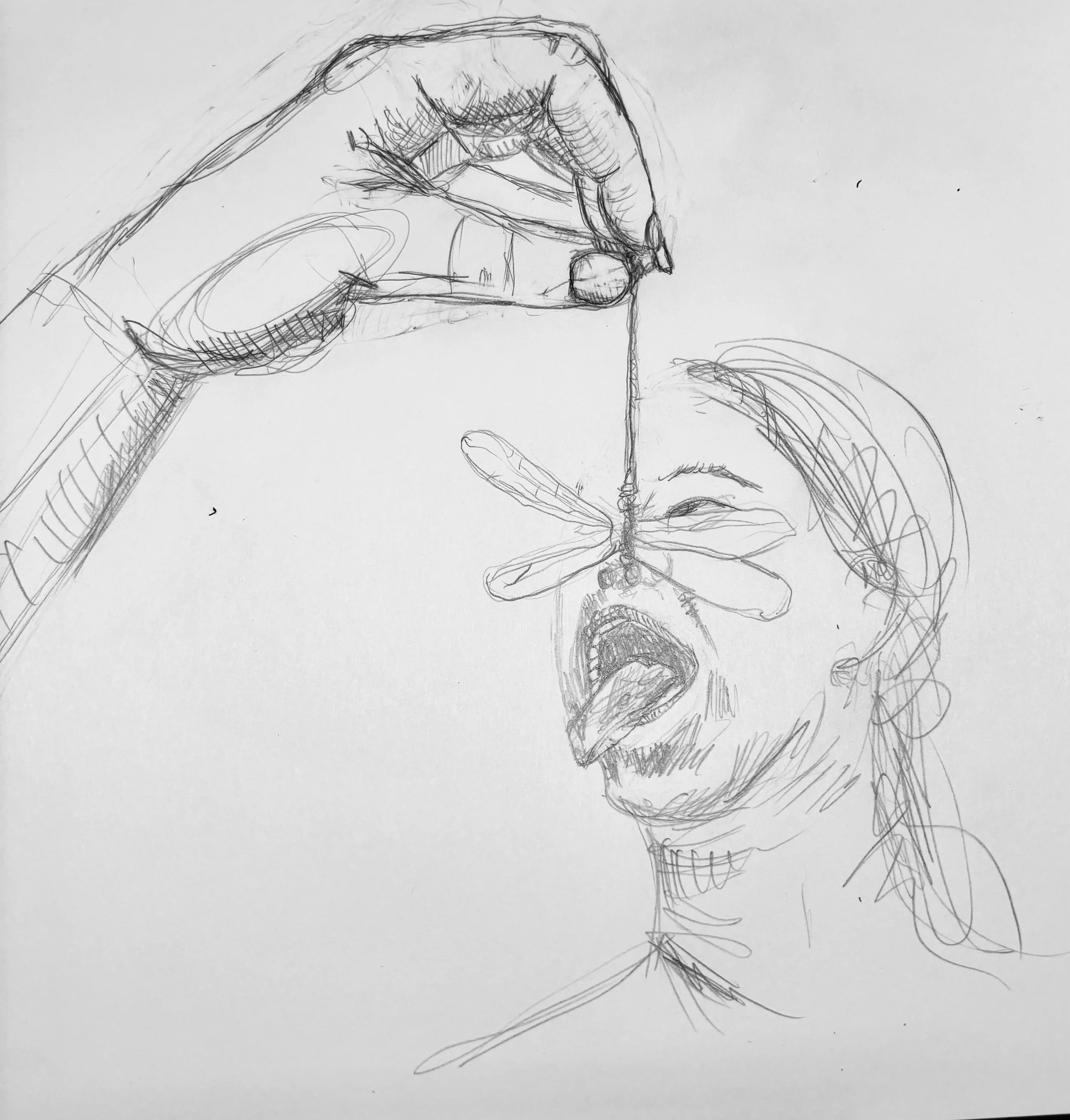 THE HAND THAT FEEDS YOU / Paper / Pencil / 40cm x 40m / 2025