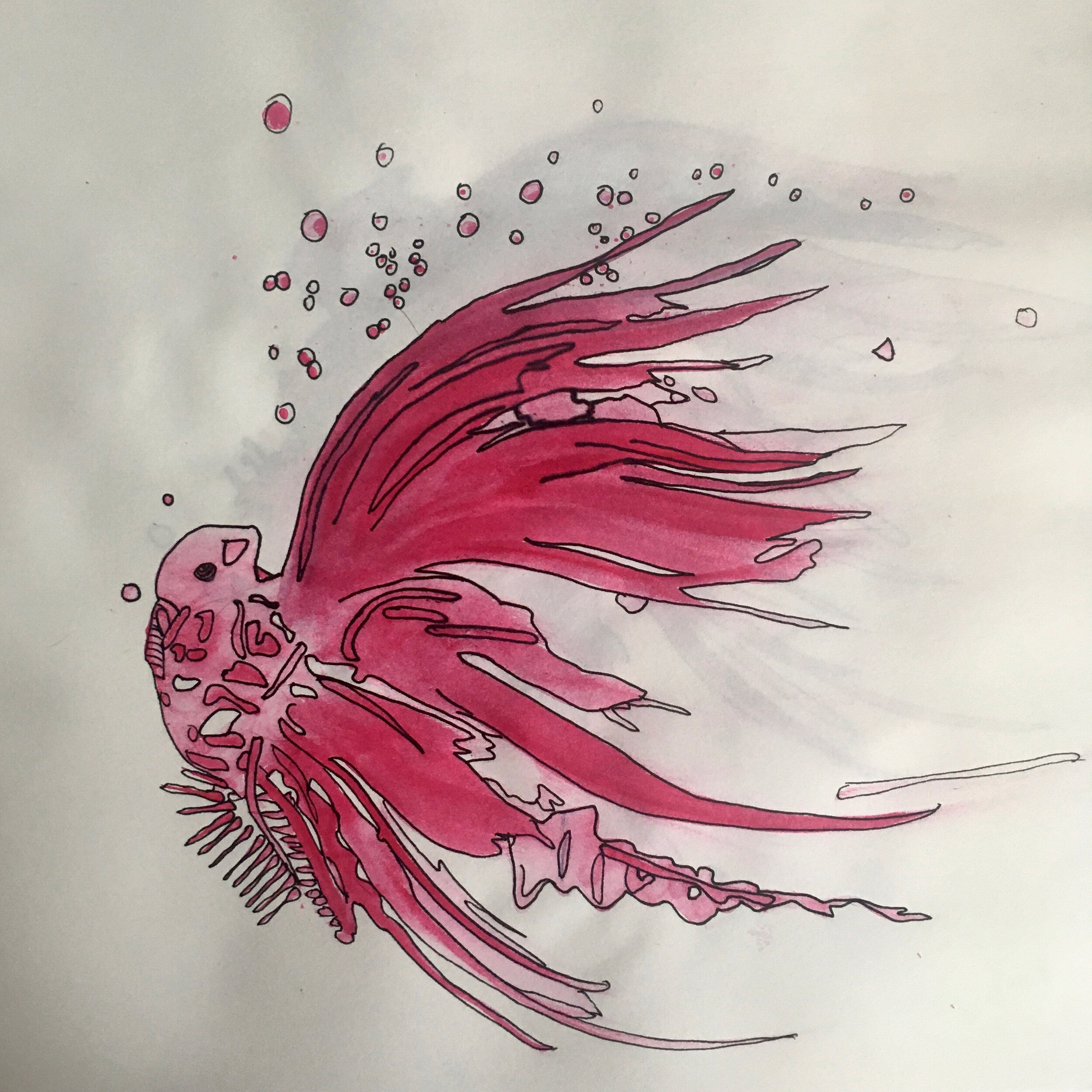 S U L C U S / Japanese Ink with Pigment on Paper / 30cm x 30cm / 2019