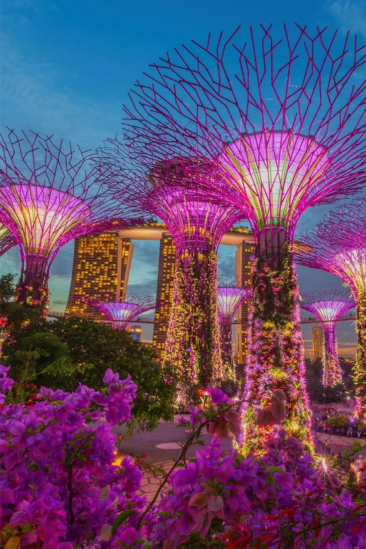 what-to-do-in-singapore-tourist-Gardens-by-the-Bay-Singapore-2025.jpeg