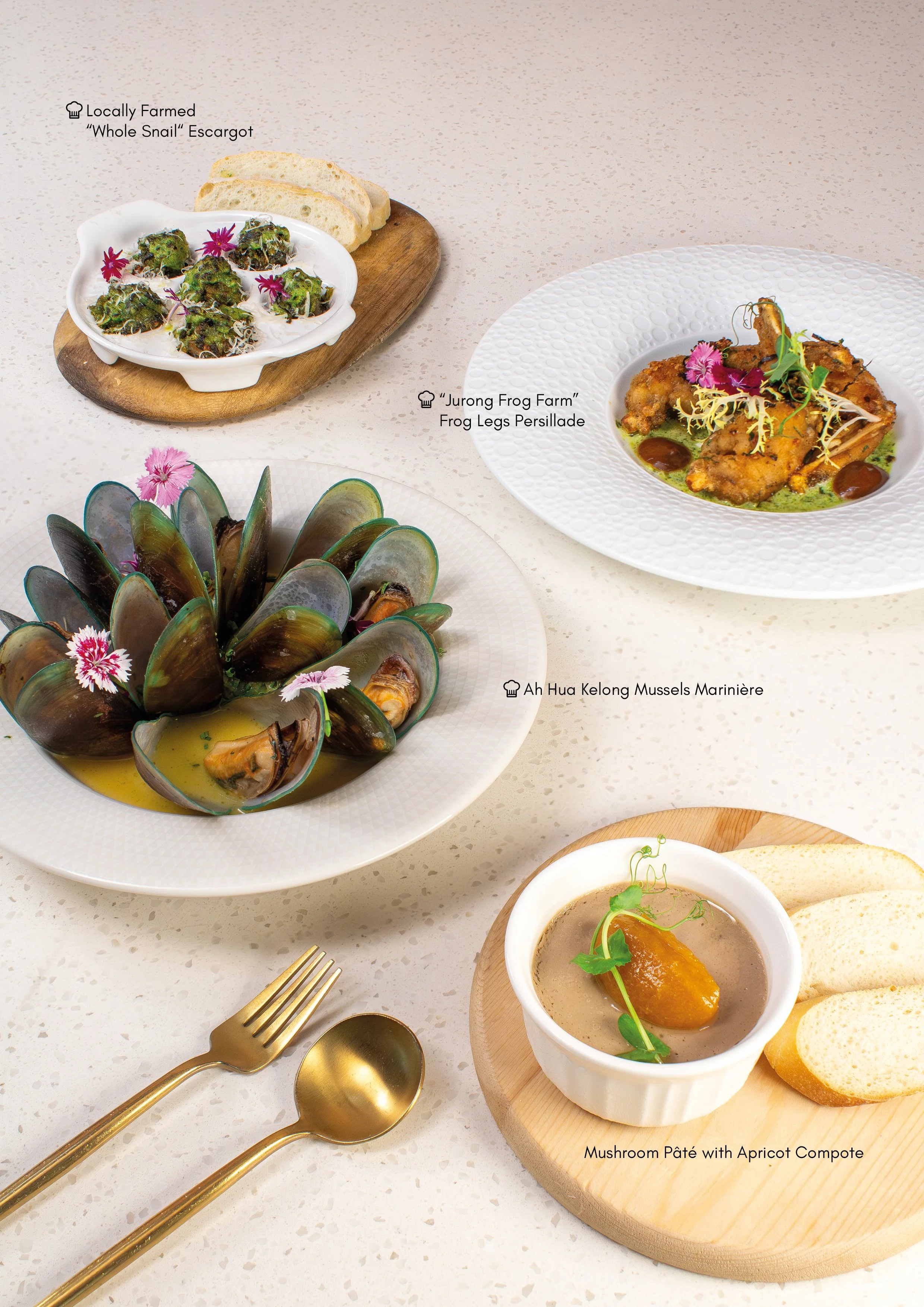 Starters