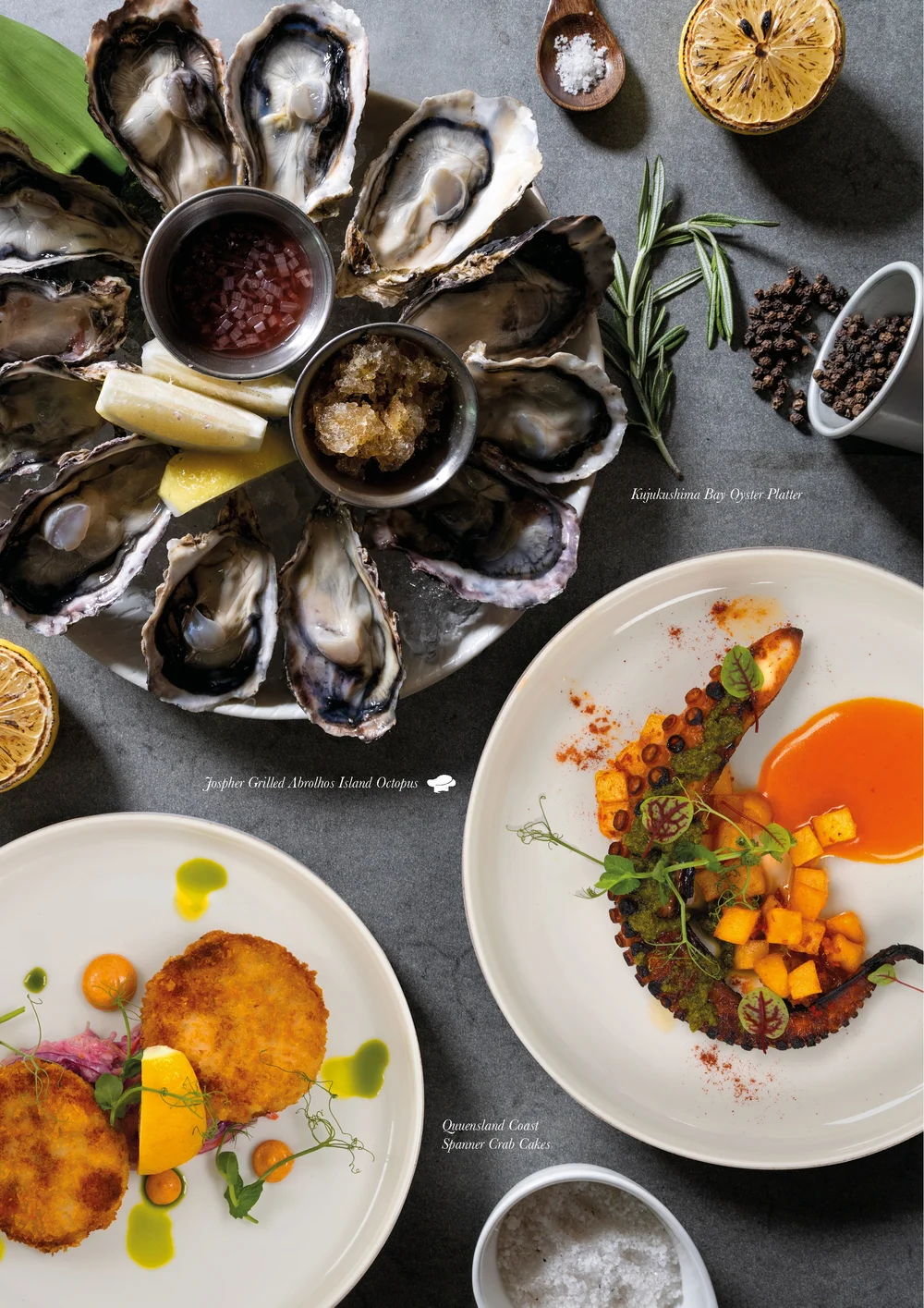Appetizers Presentation