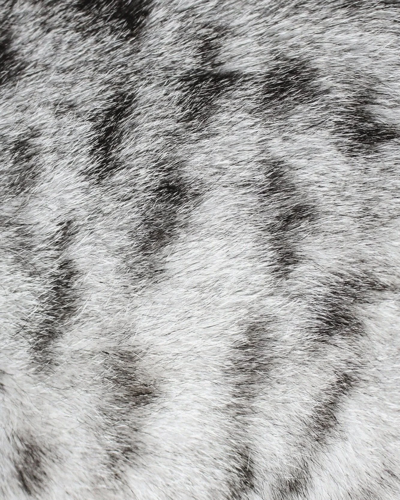 [ LUMI&Egrave;RE ] &mdash; Plongez dans l'univers fascinant de la lumi&egrave;re et d&eacute;couvrez comment elle r&eacute;v&egrave;le un monde en niveaux de gris. 

Cr&eacute;dits: Unsplash / @st_valentina 

------------------------------------
👉&n