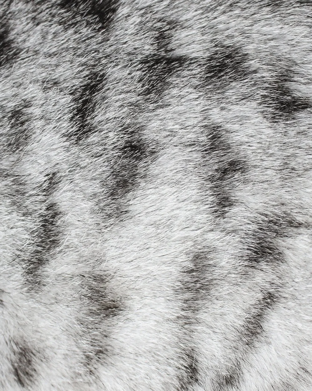 [ LUMI&Egrave;RE ] &mdash; Plongez dans l'univers fascinant de la lumi&egrave;re et d&eacute;couvrez comment elle r&eacute;v&egrave;le un monde en niveaux de gris. 

Cr&eacute;dits: Unsplash / @st_valentina 

------------------------------------
👉&n