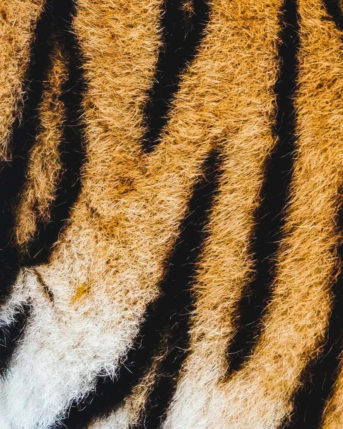 [ LUMI&Egrave;RE ] &mdash; Plongez dans l'univers fascinant de la lumi&egrave;re et d&eacute;couvrez comment elle r&eacute;v&egrave;le un monde en couleurs. 

Cr&eacute;dits: Unsplash / @maxvdo 

------------------------------------
👉&nbsp;Plus d'in