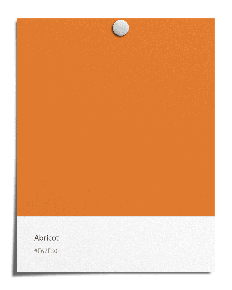 Abricot [#E67E30]