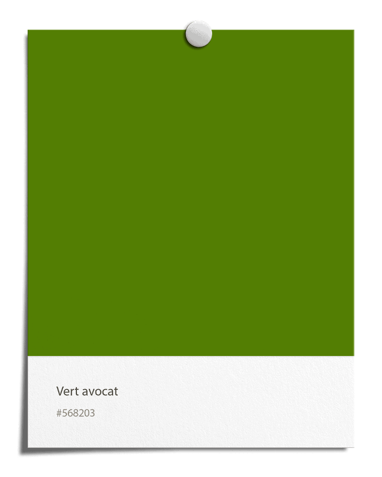 Vert avocat [#568203]