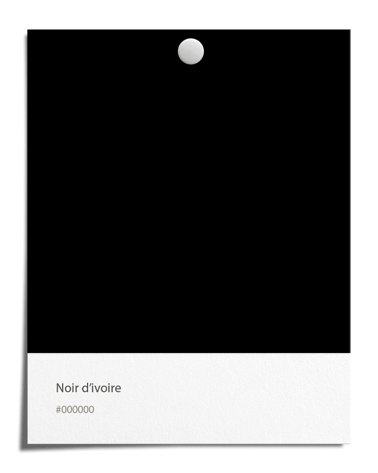 Noir d'ivoire [#000000]