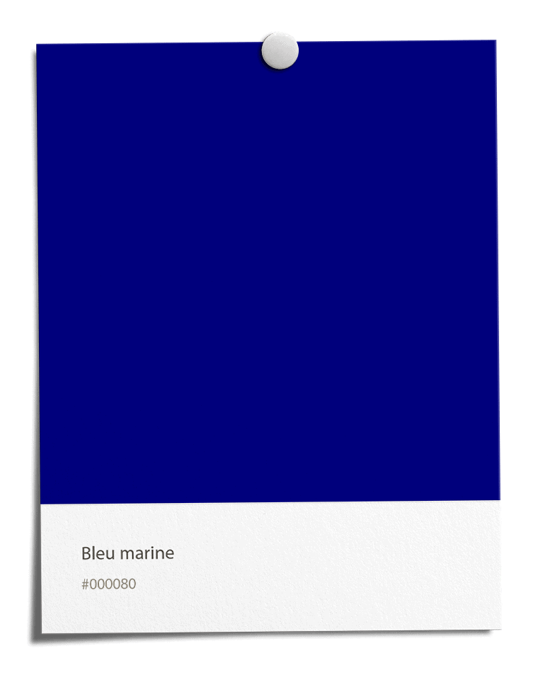Bleu marine [#000080]