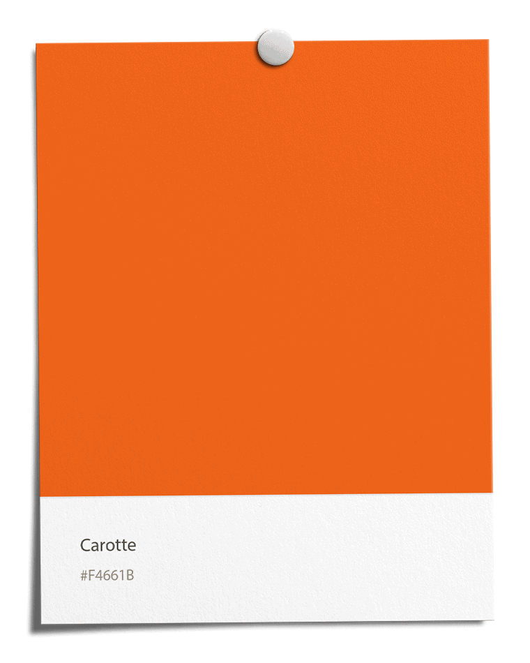 Carotte [#F4661B]
