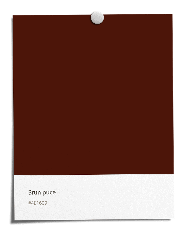 Brun puce [#4E1609]