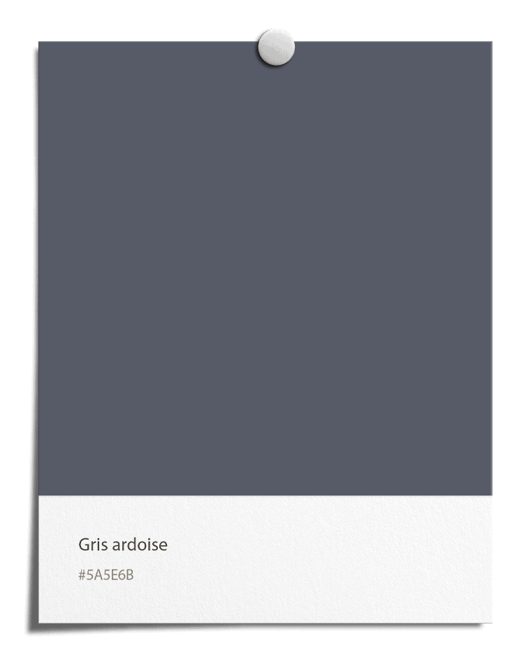 Gris ardoise [#5A5E6B]