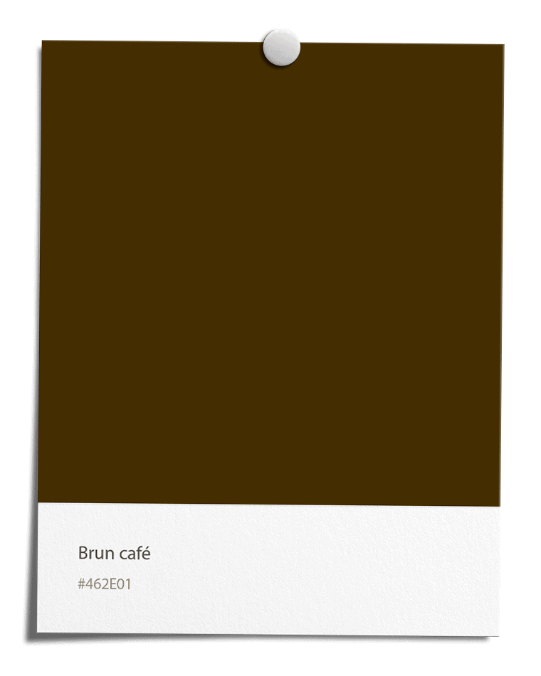Brun café [#462E01]