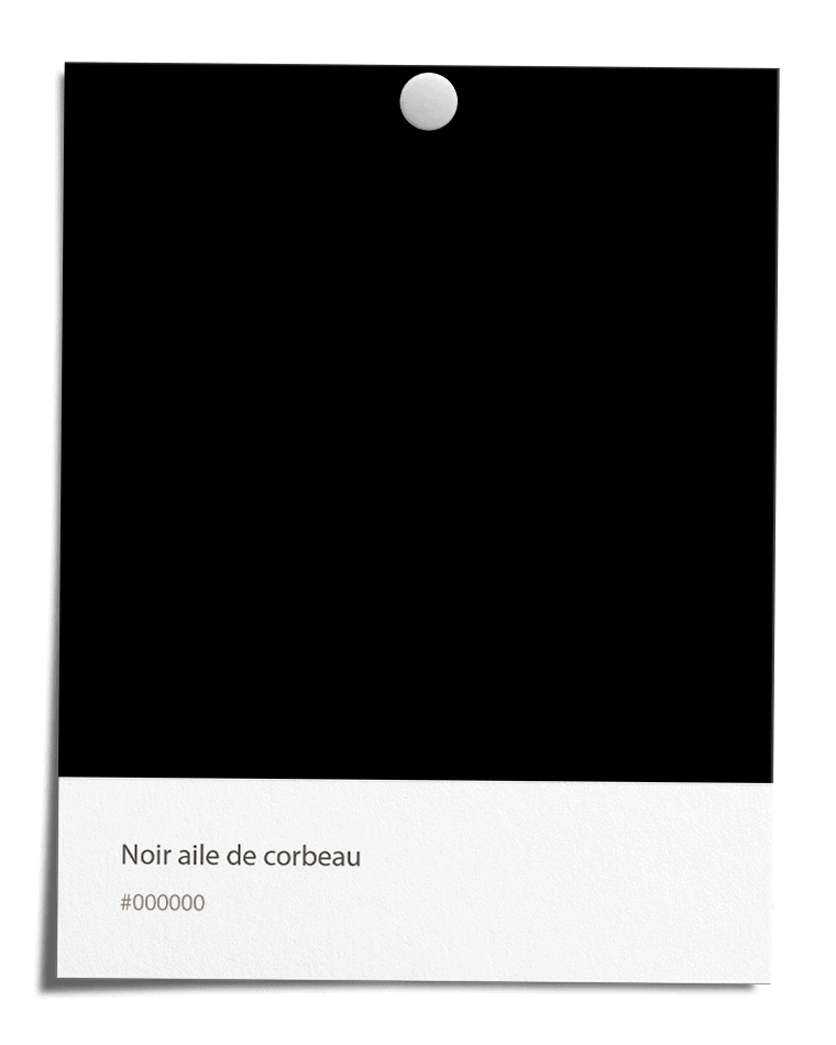 Noir aile de corbeau [#000000]