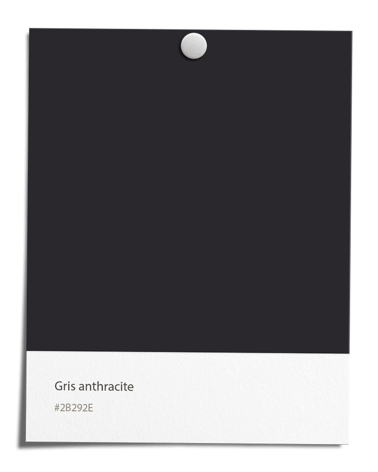 Gris anthracite [#2B292E]