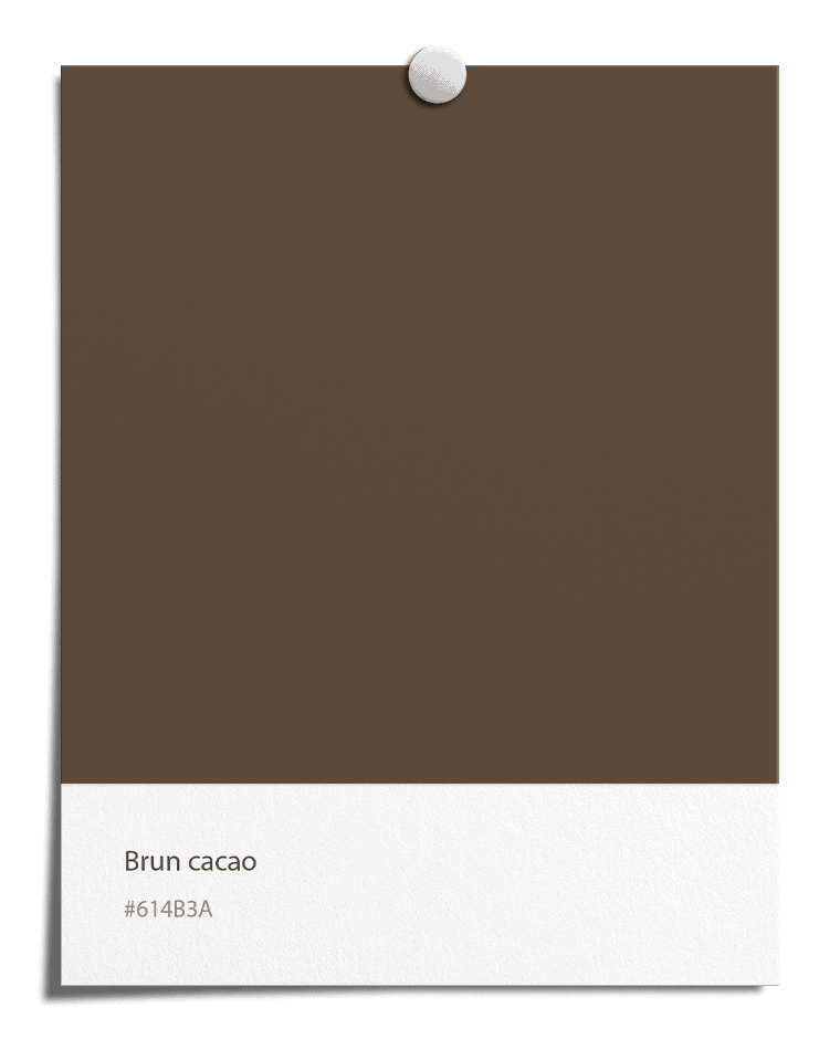 Brun cacao [#614B3A]