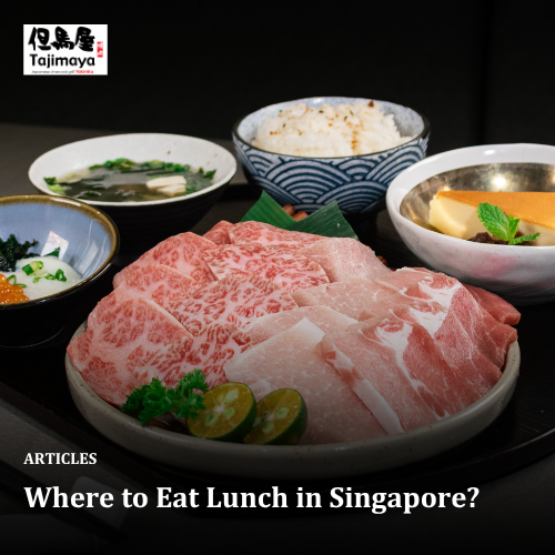 Where to Eat Lunch in Singapore?