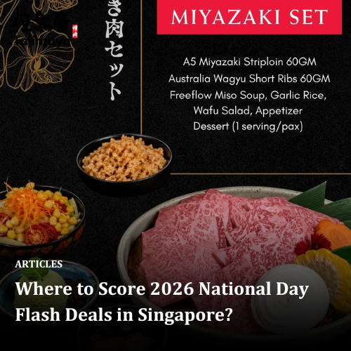 Where to Score 2026 National Day Flash Deals in Singapore?