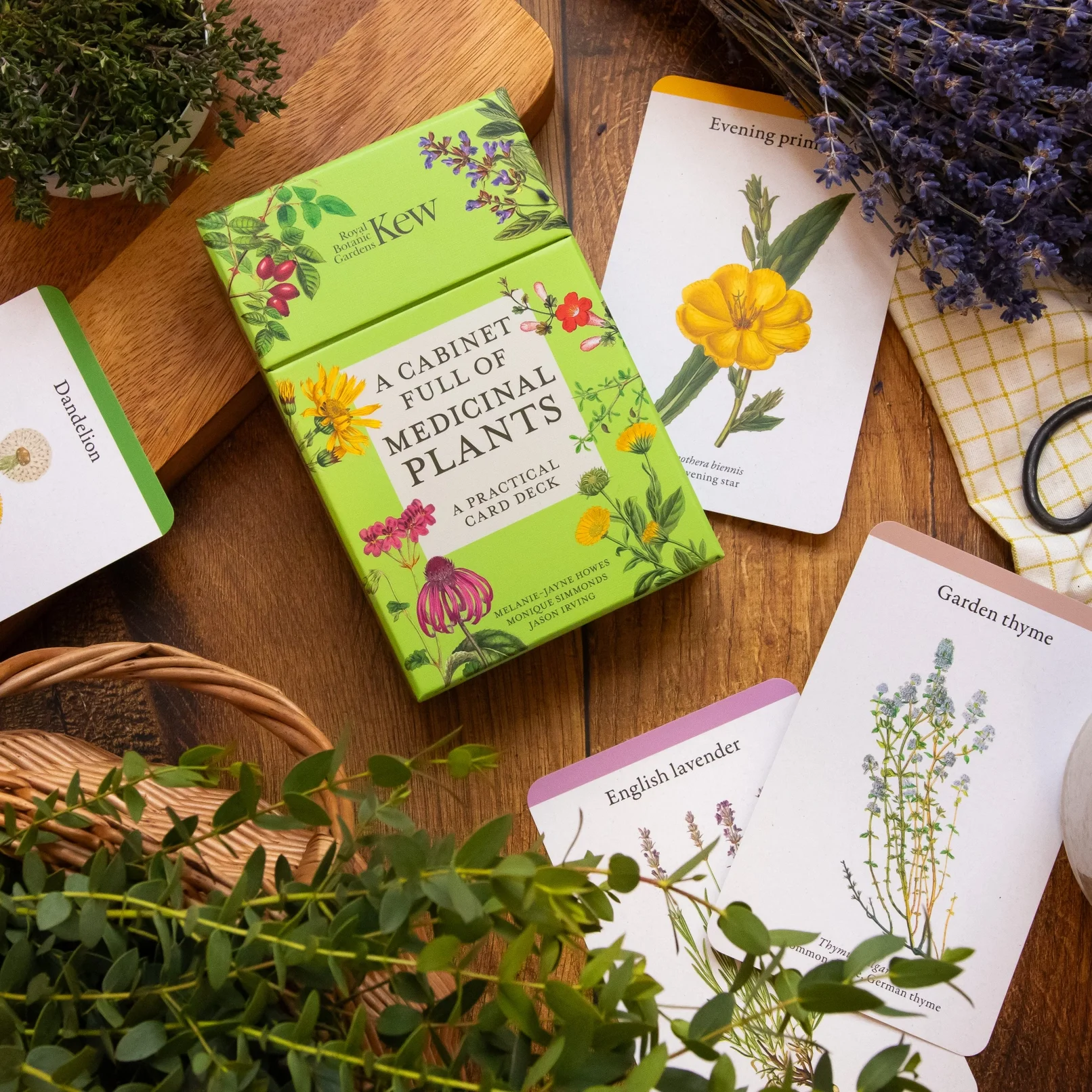 Kew Gardens: A Cabinet Full of Medicinal Plants Cards