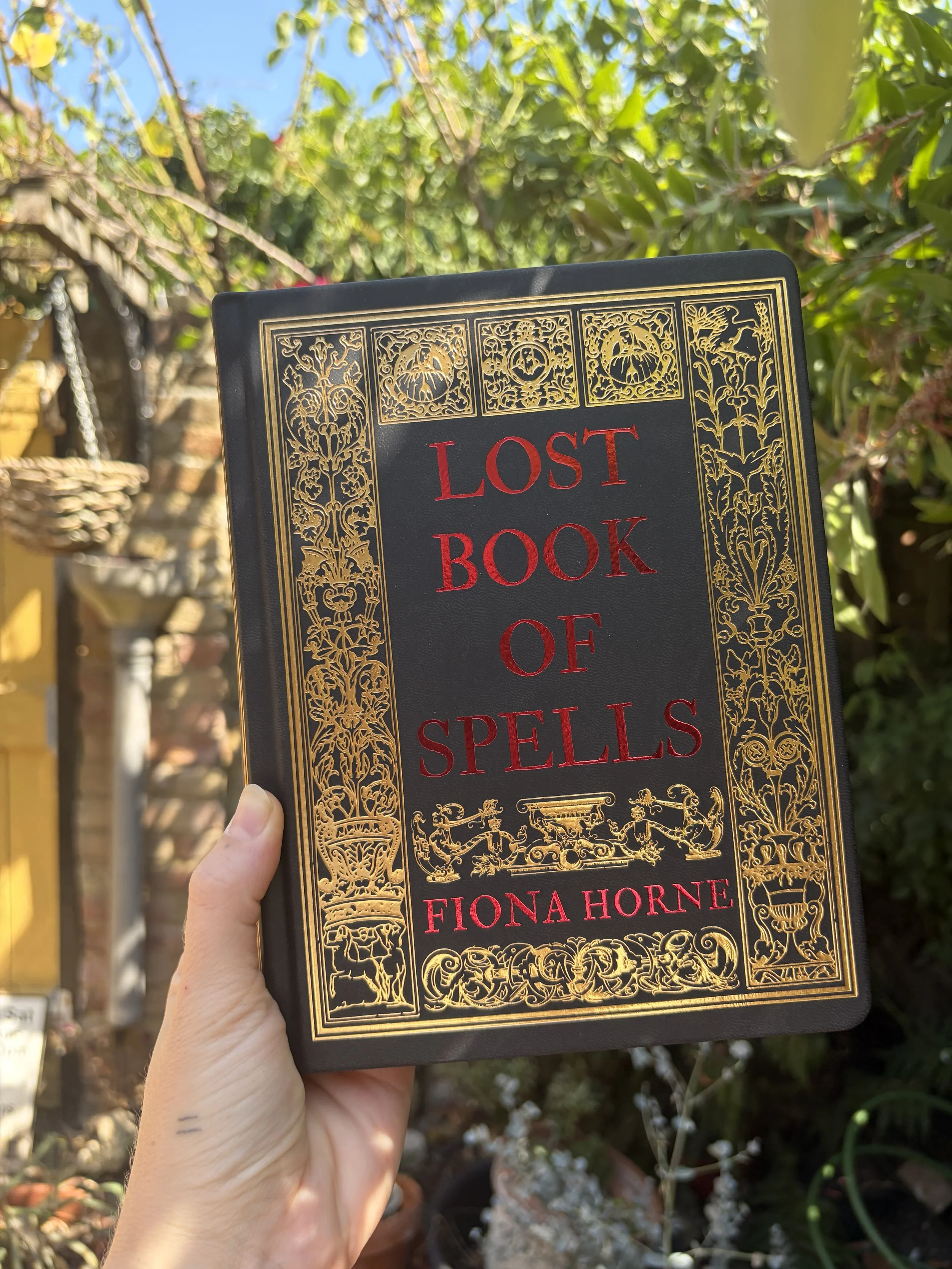 Lost Book of Spells by Fiona Horne