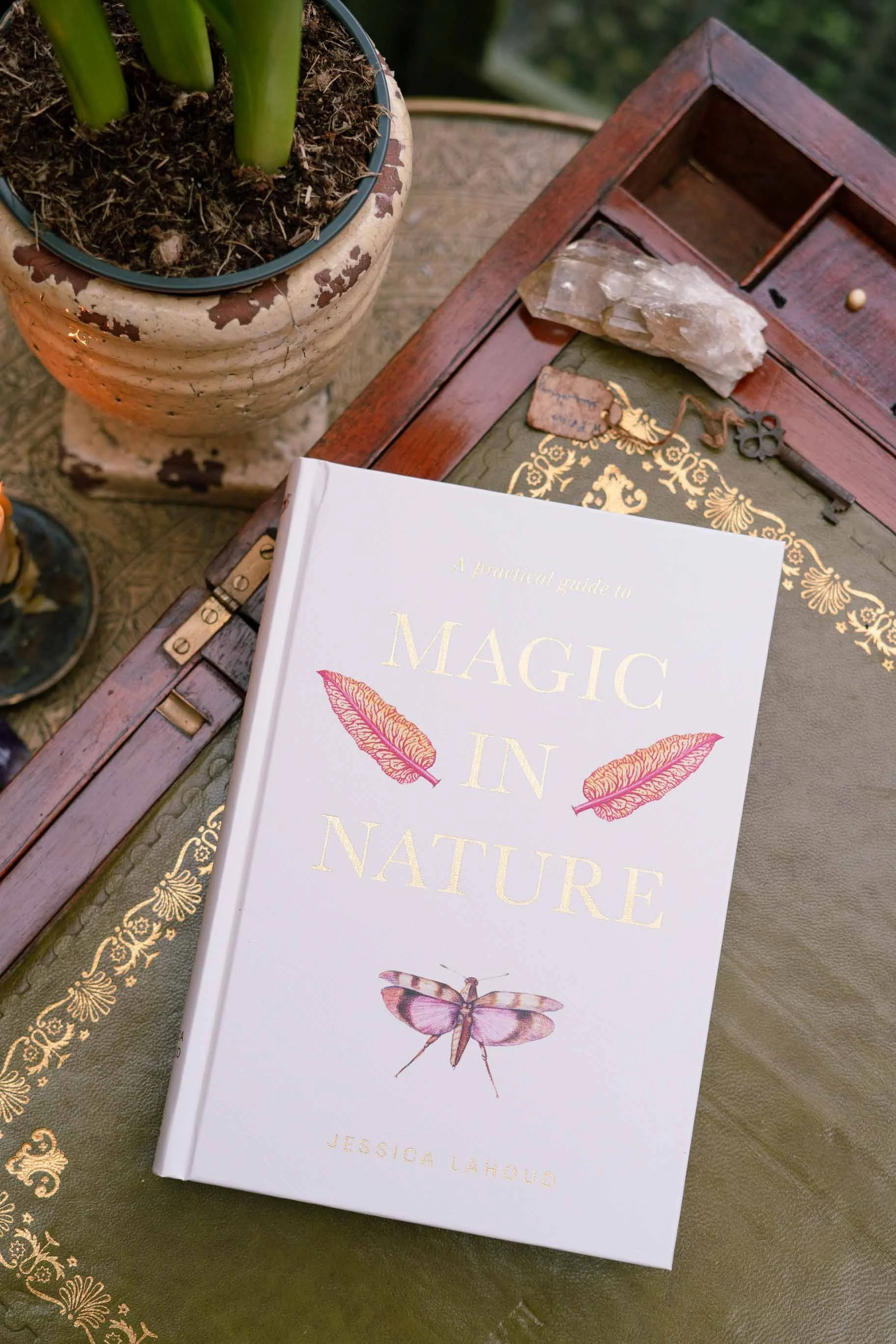 A Practical Guide To Magic in Nature By Jessica Lahoud