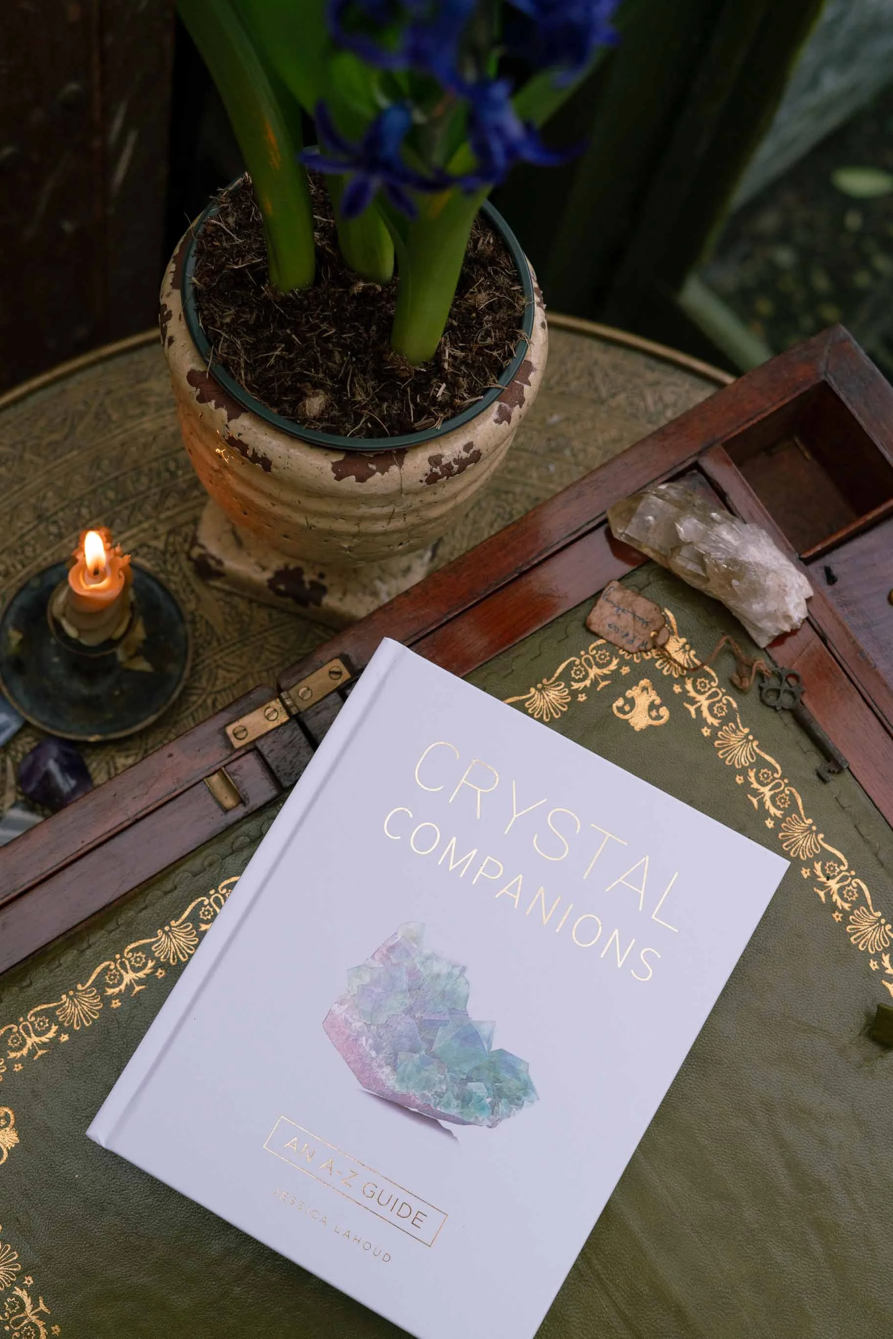 Crystal Companions by Jessica Lahoud