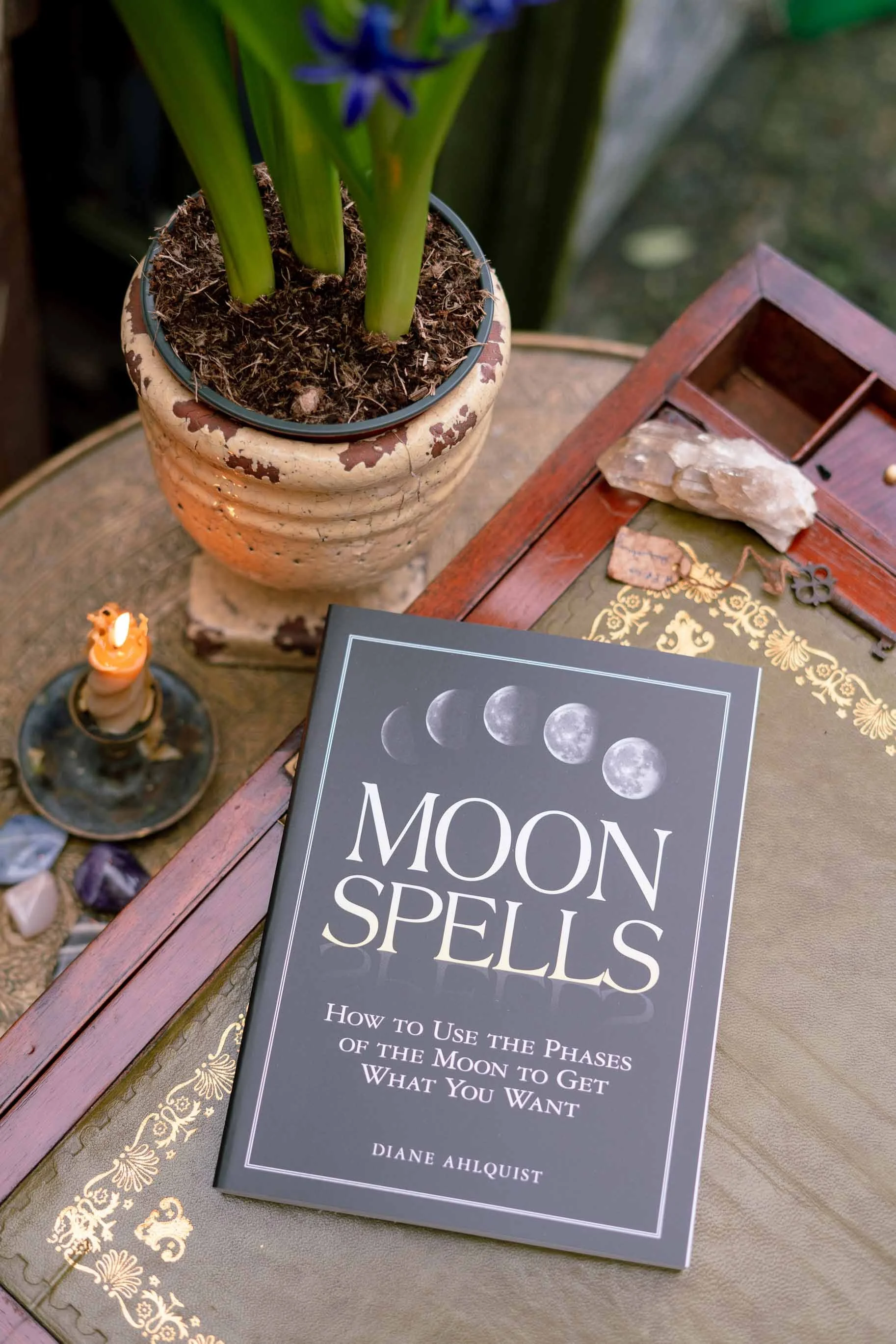 Moon Spells by Diane Ahlquist