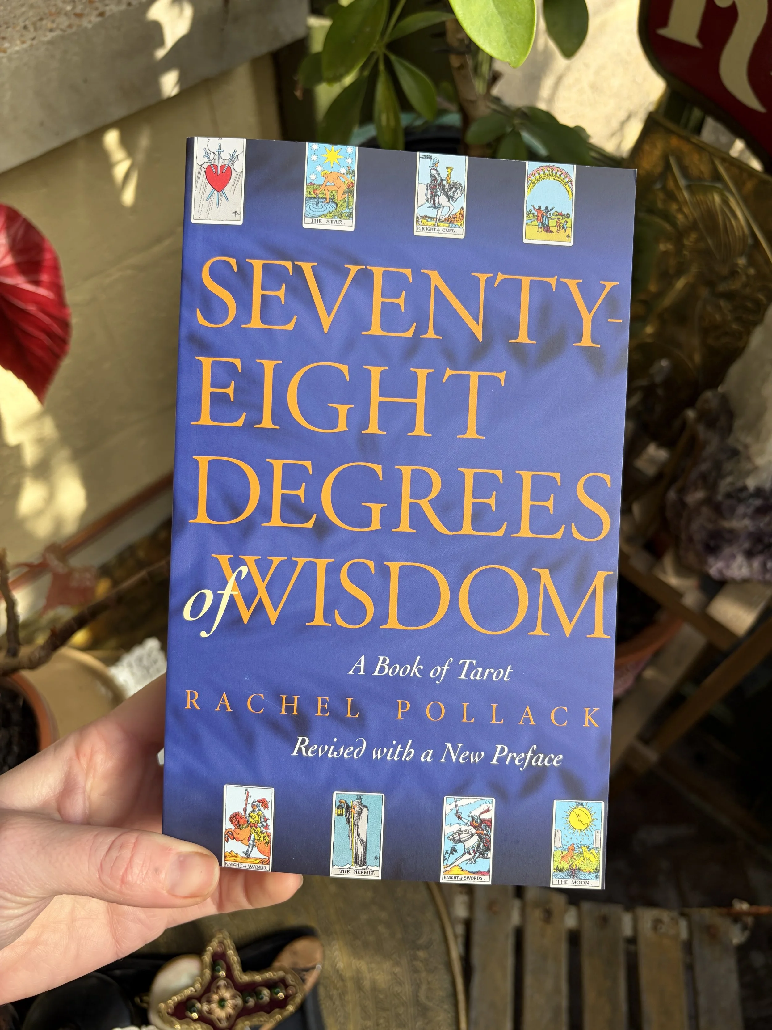 Seventy-Eight Degrees of Wisdom - Rachel Pollack