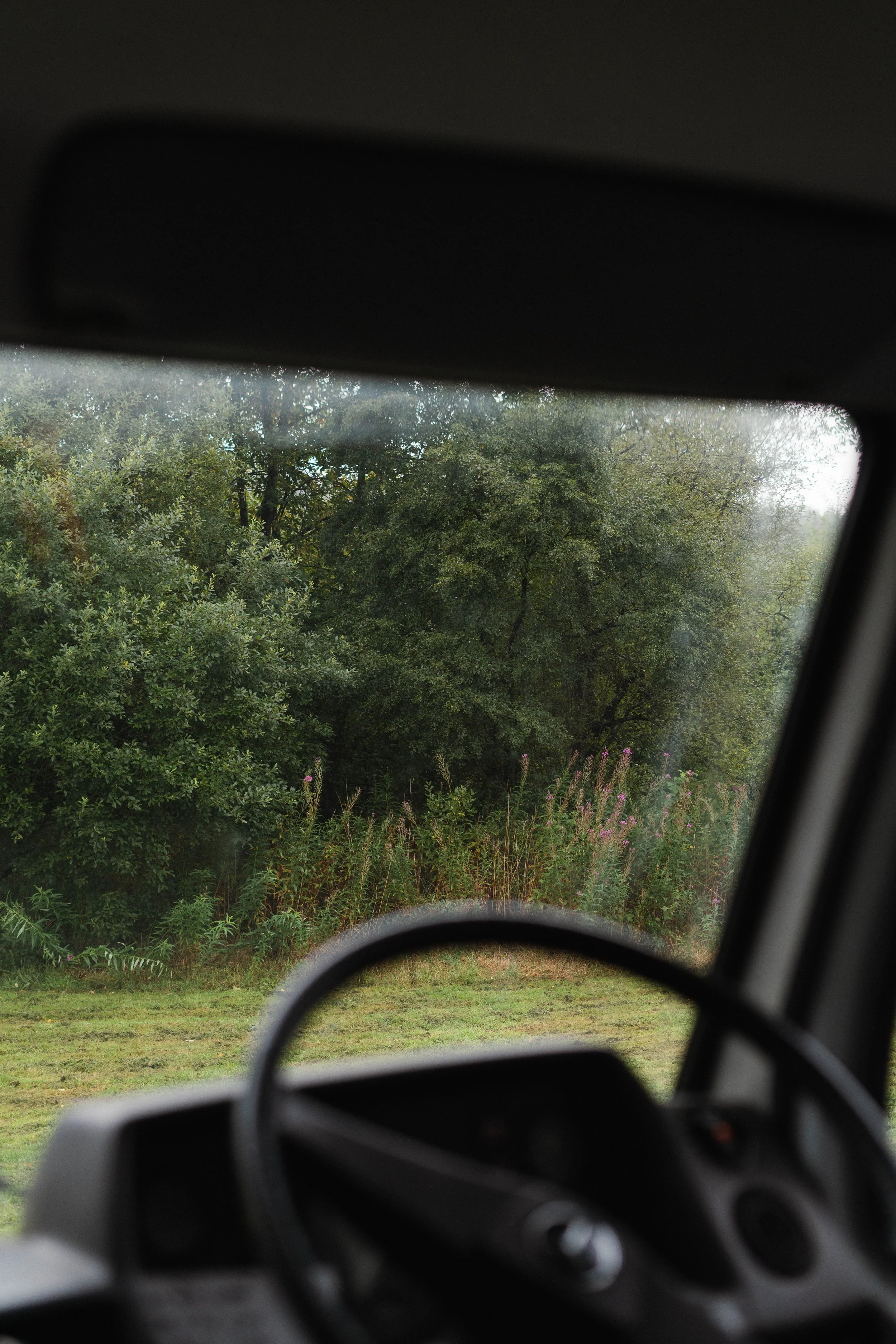 View of grassy field and trees from inside a vehicle, with the steering wheel visible.