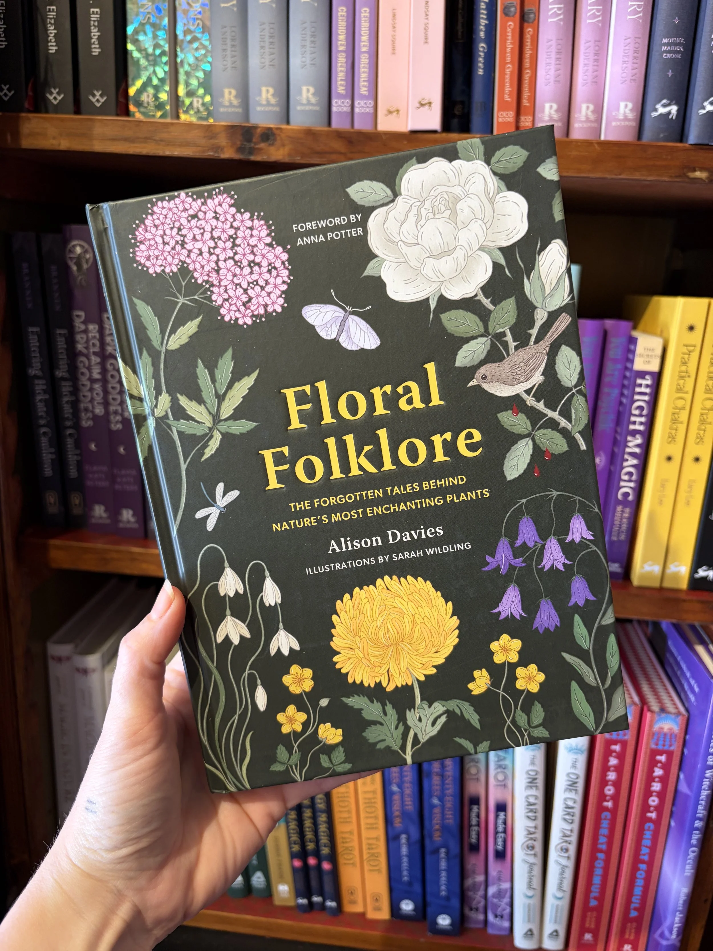Floral Folklore by Alison Davies