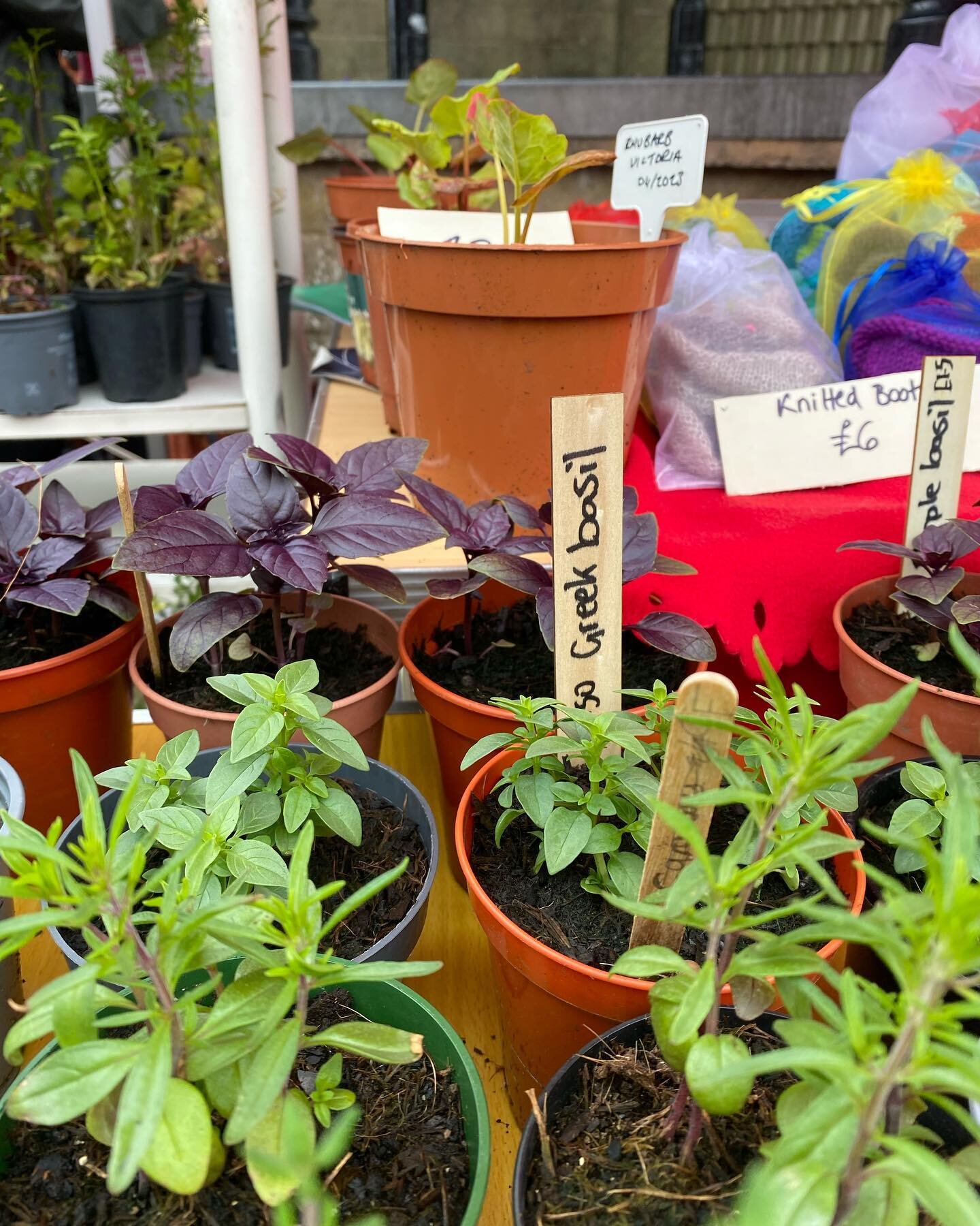 Lots of plants, produce and knitted goods, as well as other lovely bits and pieces on the @growfoodgrowdunoon and Bullwood Nature Trail stall. Argyll Gardens market, Dunoon, 10am to 3pm today. 

#dunoon