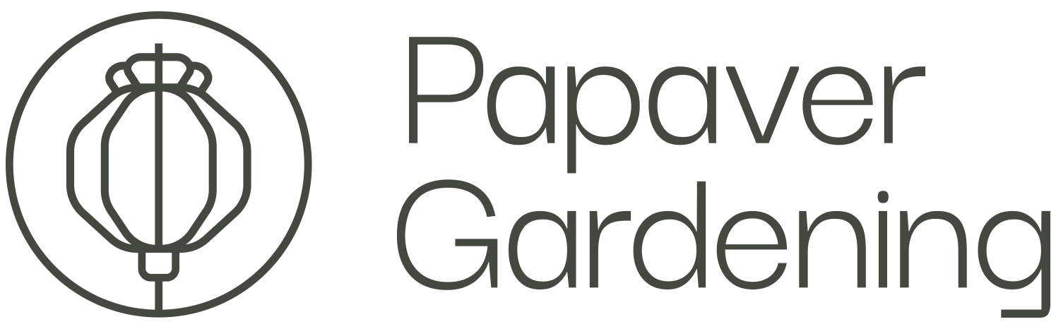 Papaver Gardening