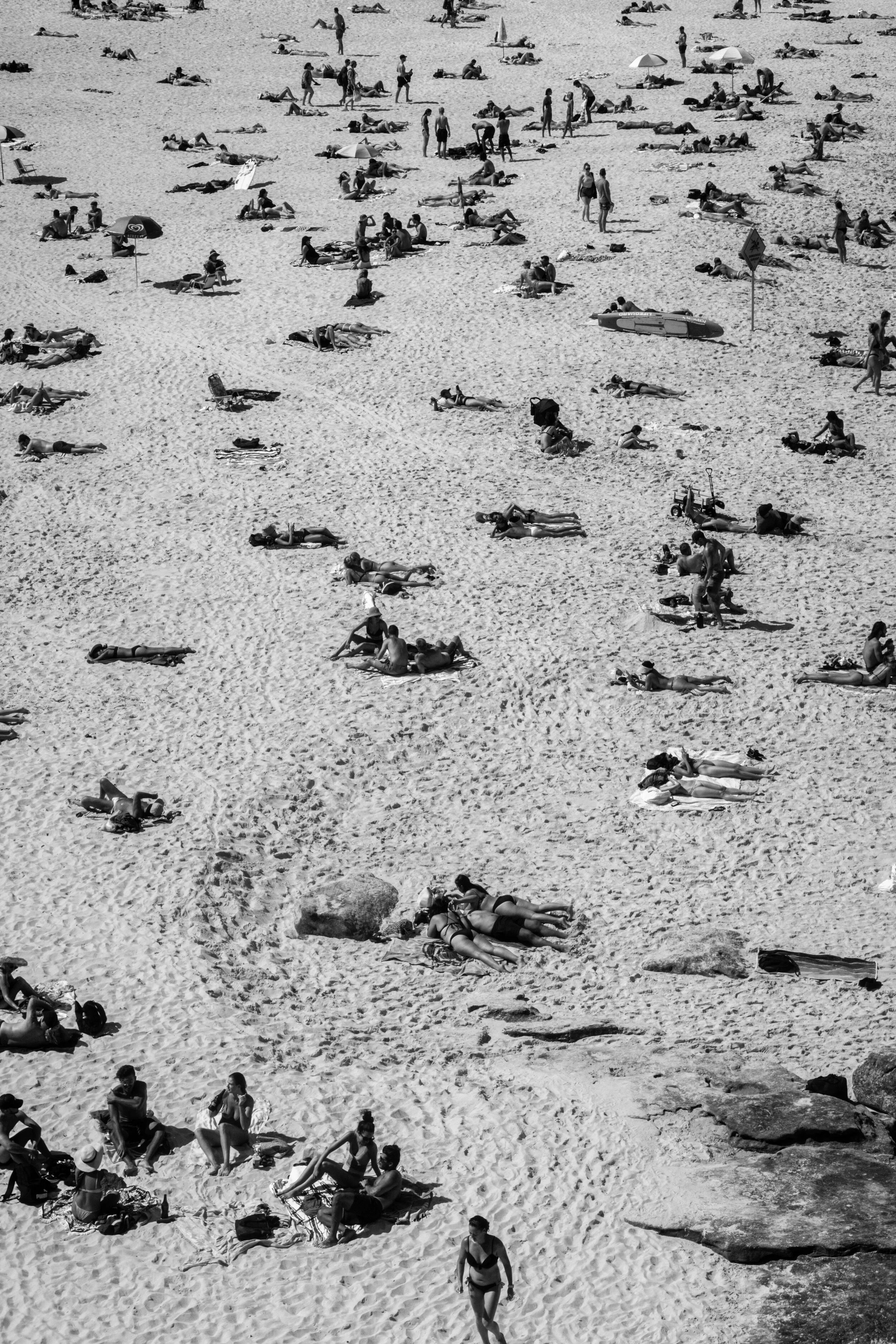 Summer Formation BW