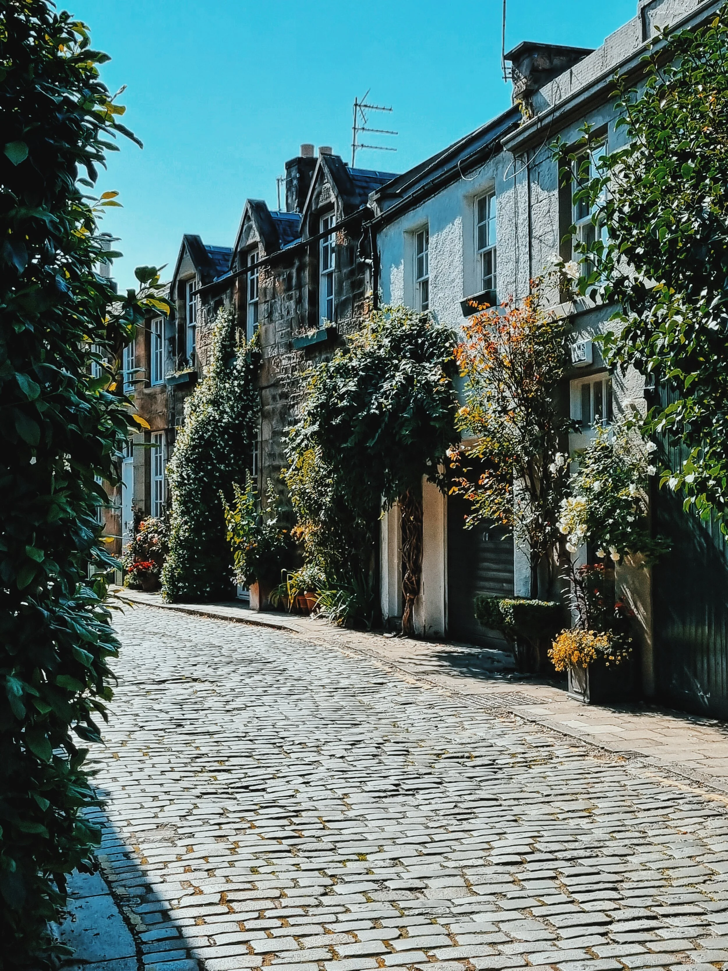 Edinburgh Mews