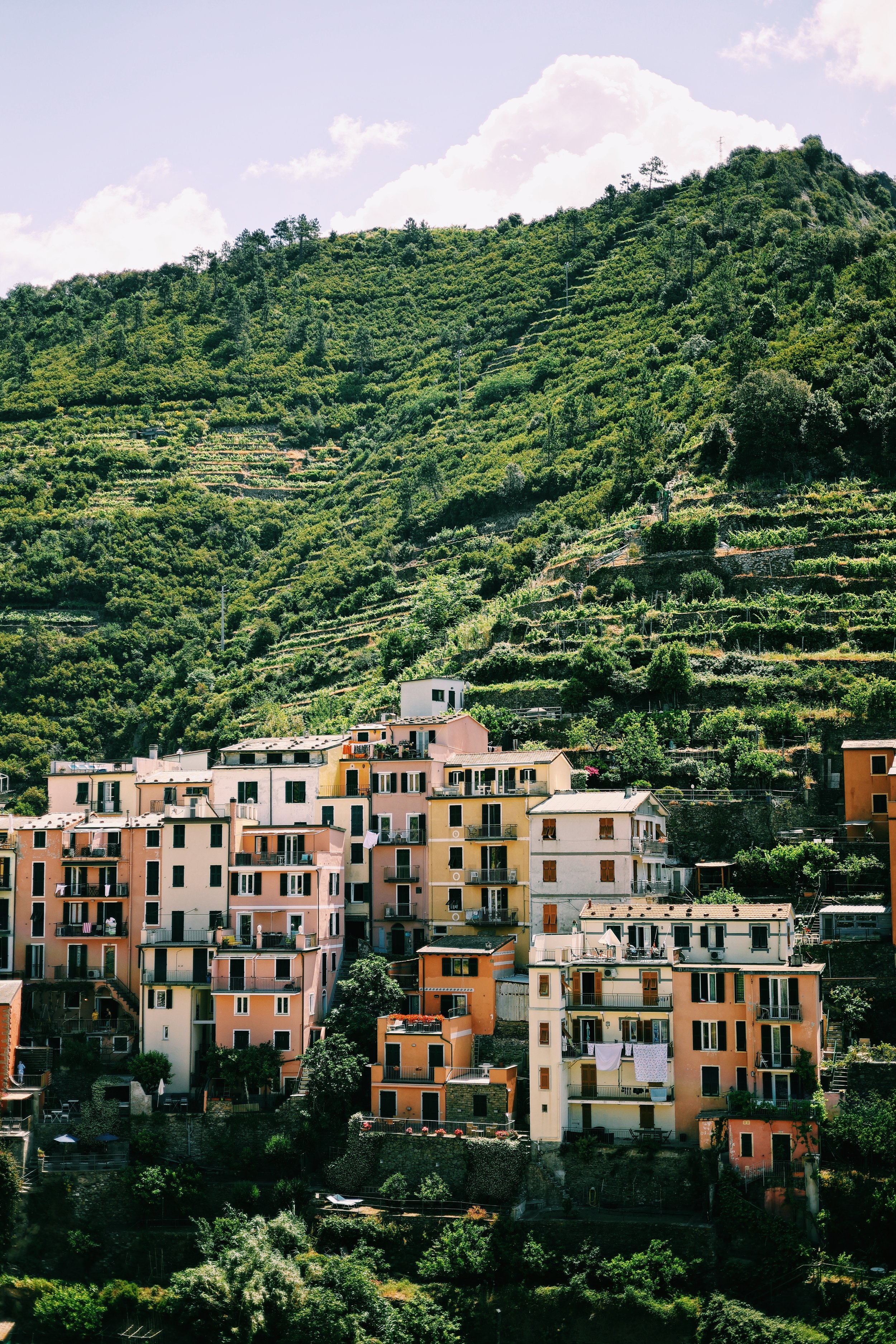 Cinque Terre Hilltops