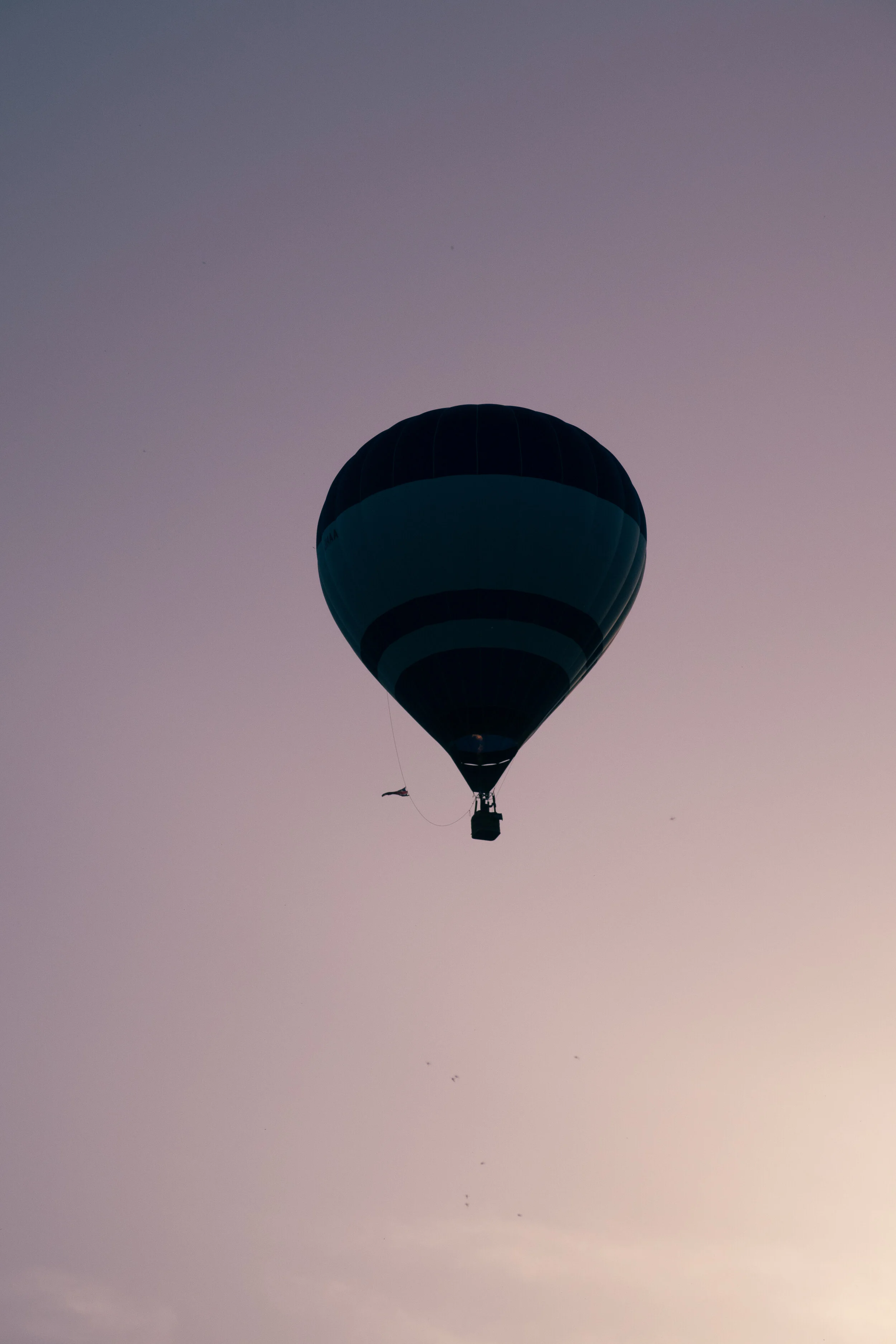 The only way is up