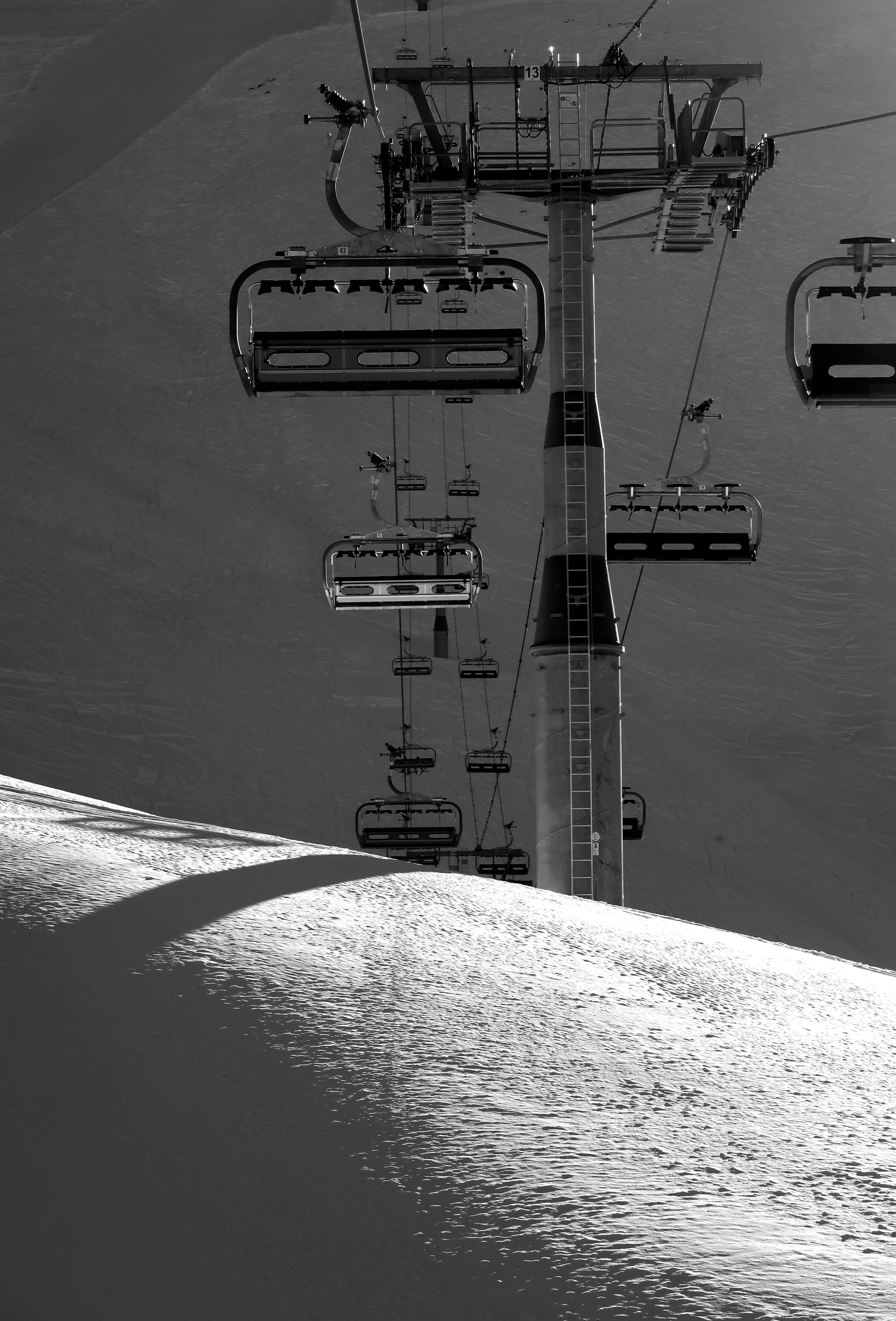 Early Bird B&W