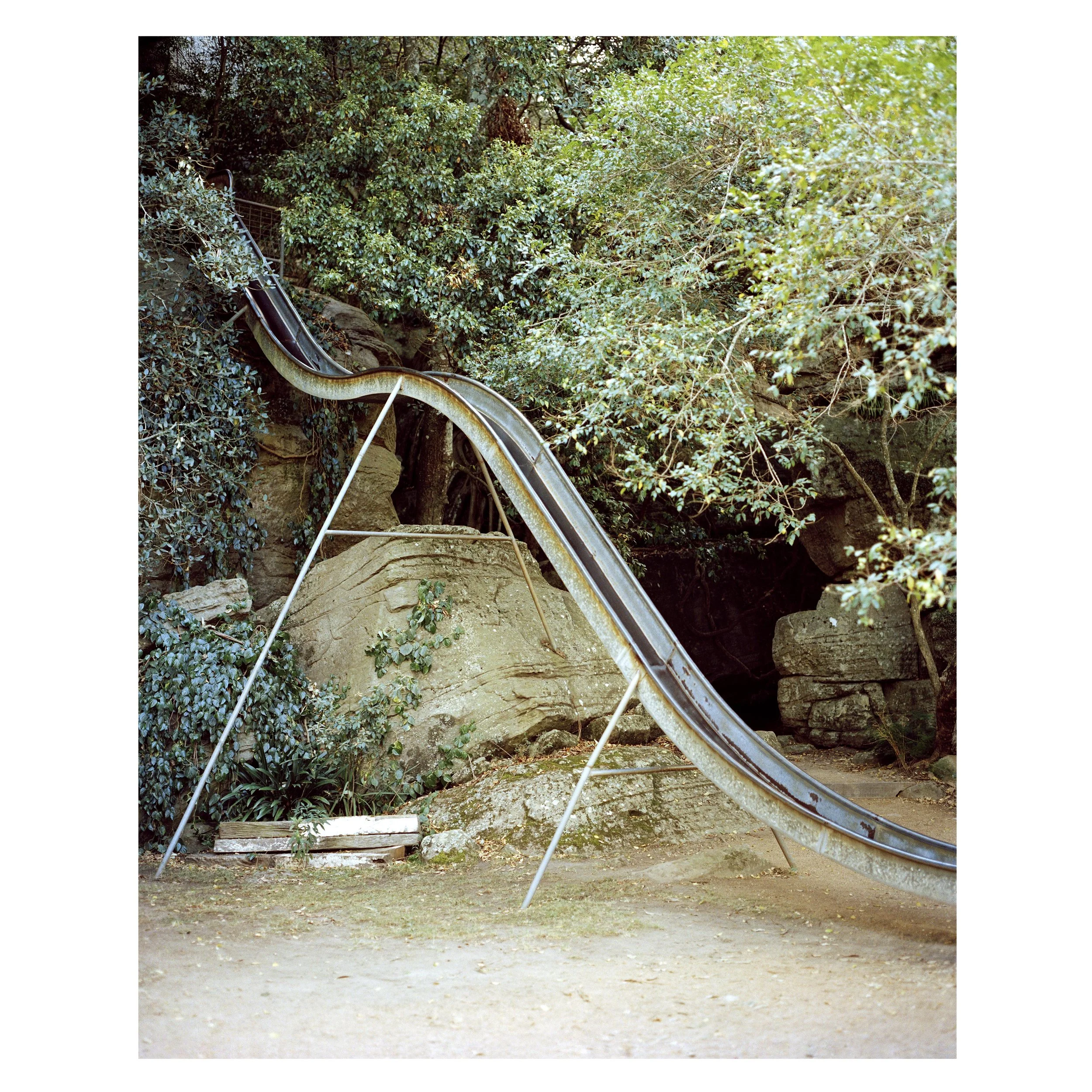 zoo slide.jpg