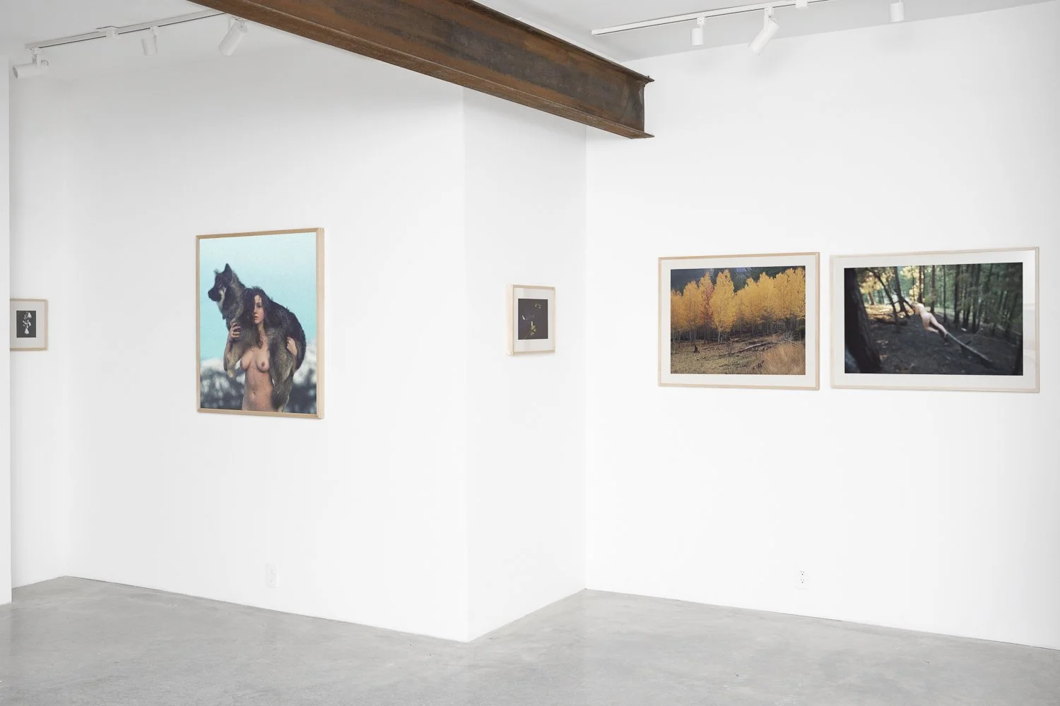 In The Secret Distance | Olivia Bee : July 5th - August 29th 2025