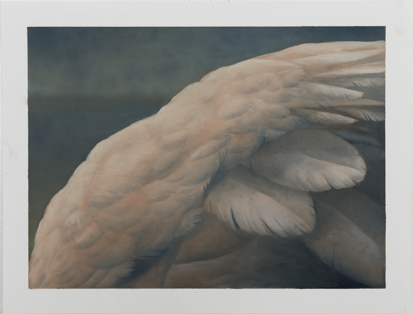 Copy of edgeofbeast.png