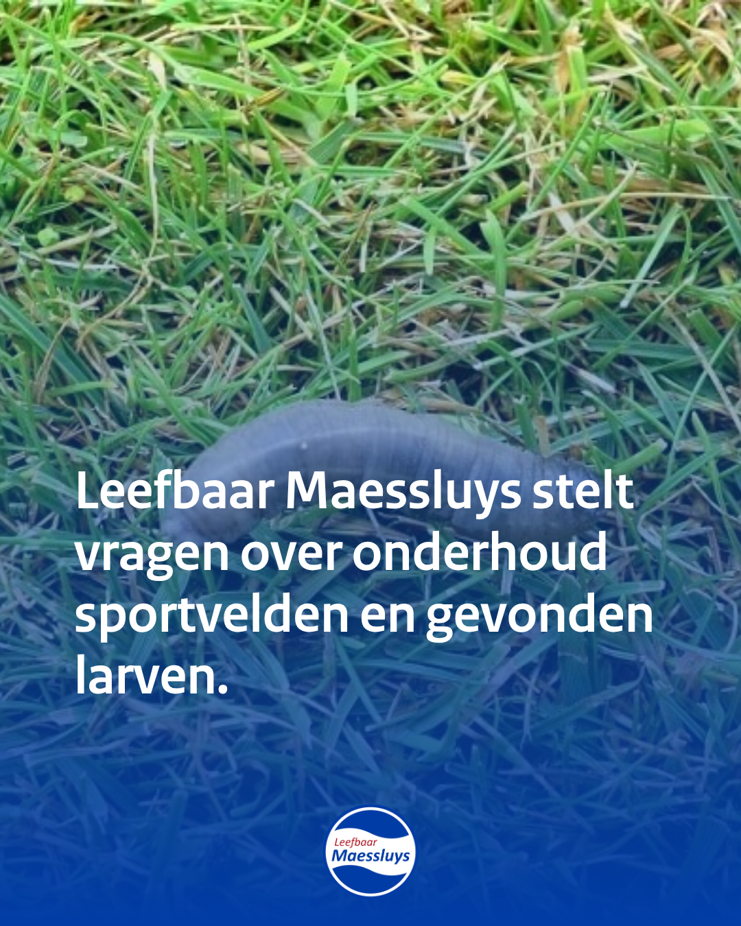 Wij stellen vragen over de staat van grasvelden.